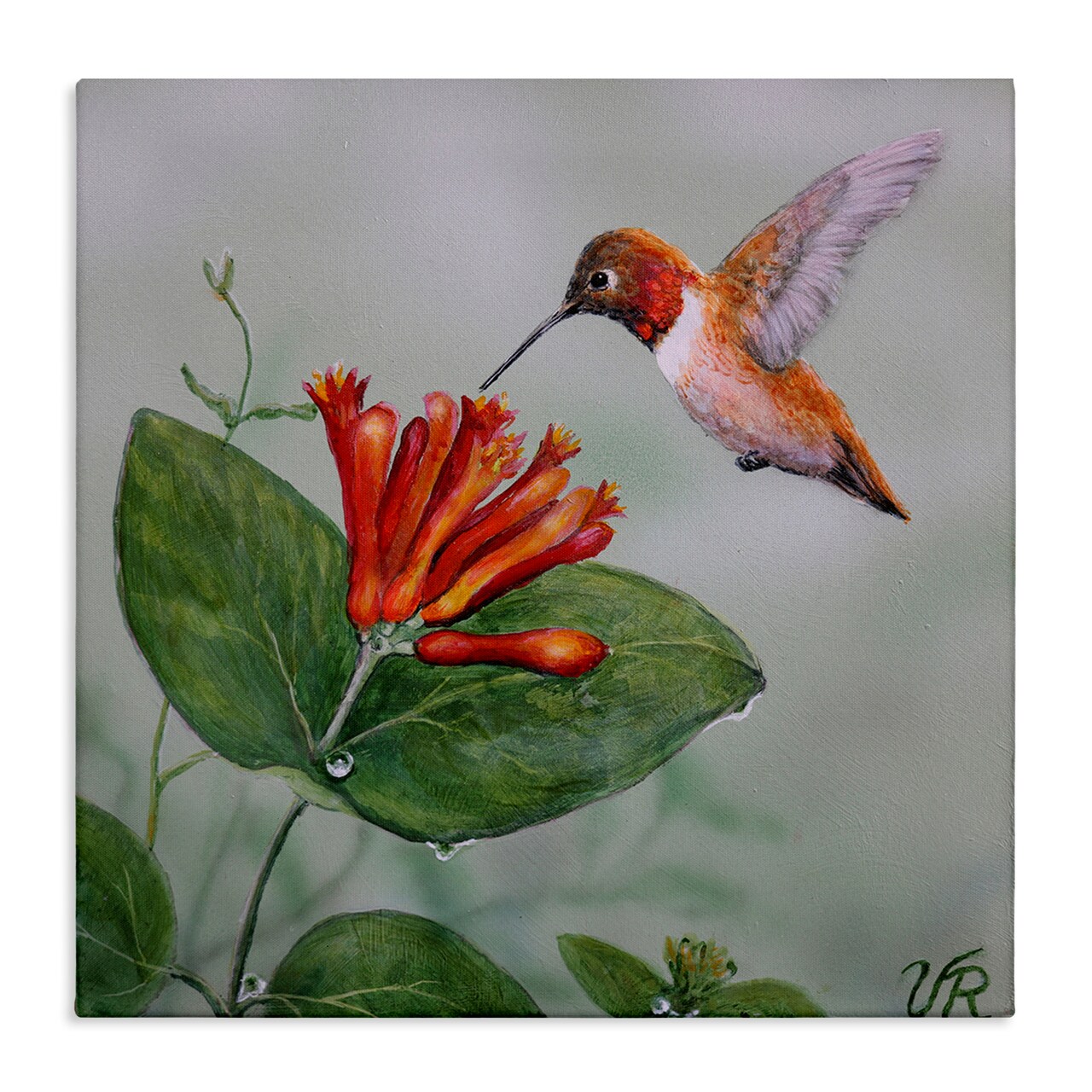 Stupell Industries Red Hummingbird & Flower Canvas Wall Art Design by Valerie Rogers